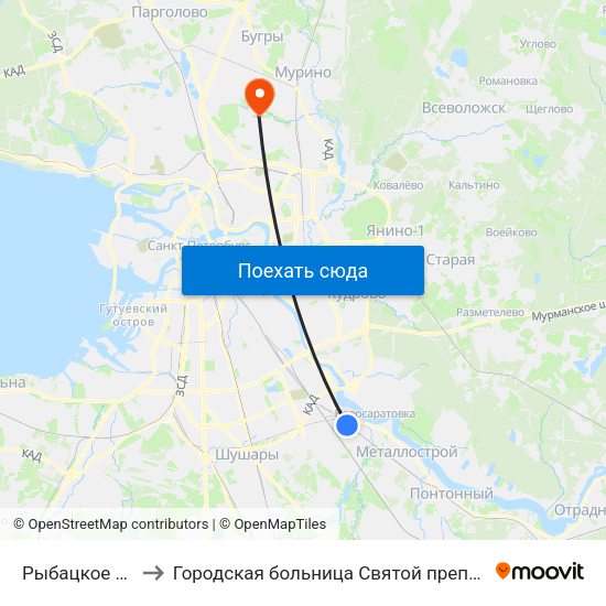Рыбацкое (Rybatskoye) to Городская больница Святой преподобной мученицы Елизаветы map