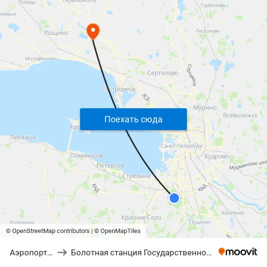 Аэропорт Пулково 1 to Болотная станция Государственного Гидрологического Института map
