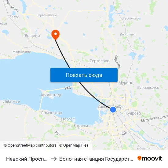 Невский Проспект (Nevskiy Prospekt) to Болотная станция Государственного Гидрологического Института map
