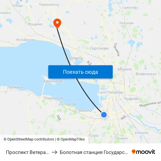 Проспект Ветеранов (Prospekt Veteranov) to Болотная станция Государственного Гидрологического Института map
