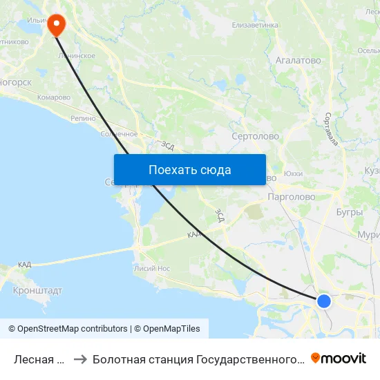 Лесная (Lesnaya) to Болотная станция Государственного Гидрологического Института map