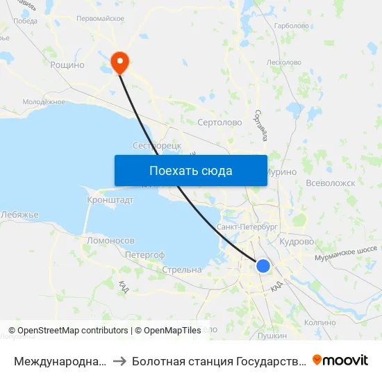 Международная (Mezhdunarodnaya) to Болотная станция Государственного Гидрологического Института map