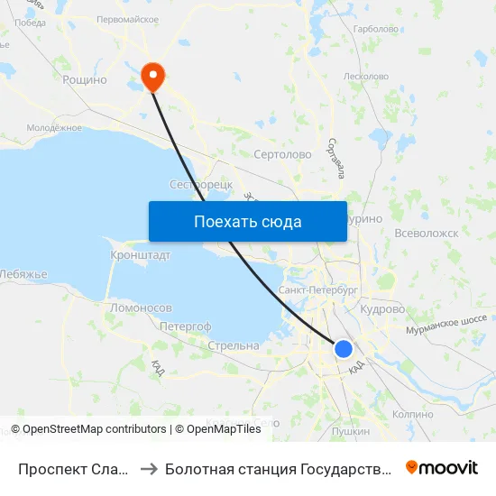 Проспект Славы (Prospekt Slavy) to Болотная станция Государственного Гидрологического Института map