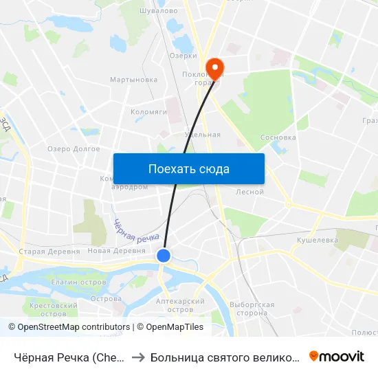 Чёрная Речка (Chernaya Rechka) to Больница святого великомученика Георгия map