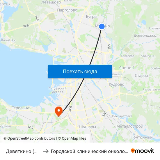 Девяткино (Devyatkino) to Городской клинический онкологический диспансер map