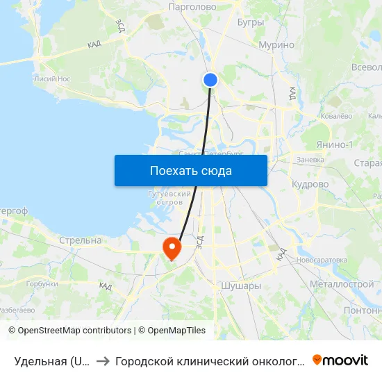 Удельная (Udel'Naya) to Городской клинический онкологический диспансер map
