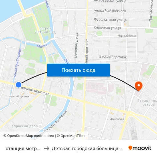 станция метро Невский Проспект to Детская городская больница №19 имени Карла Андреевича Раухфуса map