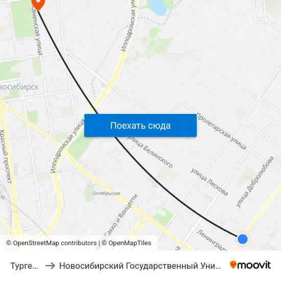 Тургенева Ул. to Новосибирский Государственный Университет Экономики И Управления map