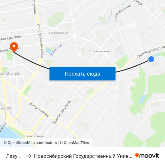 Лазурная Ул. to Новосибирский Государственный Университет Экономики И Управления map