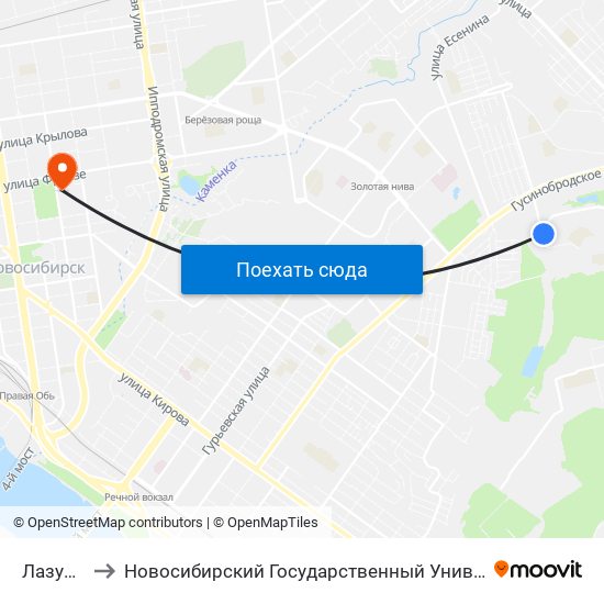 Лазурная Ул. to Новосибирский Государственный Университет Экономики И Управления map