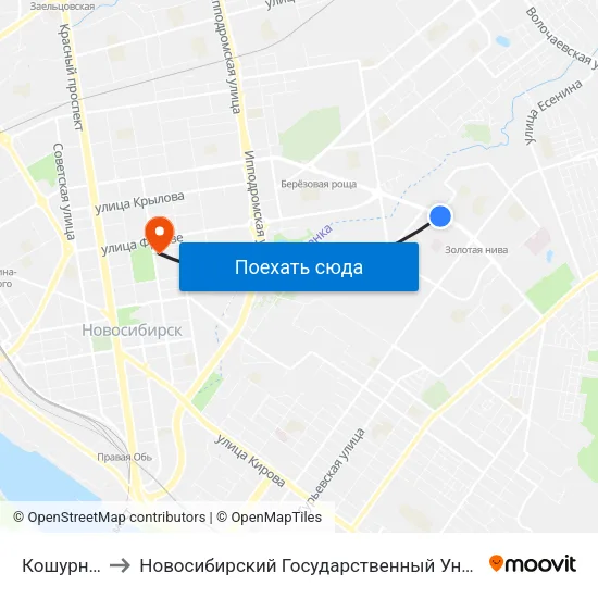 Кошурникова Ул. to Новосибирский Государственный Университет Экономики И Управления map