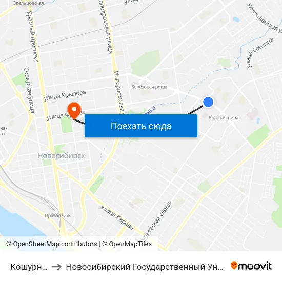 Кошурникова Ул. to Новосибирский Государственный Университет Экономики И Управления map