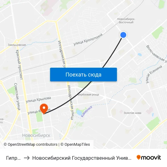 Гипроуголь to Новосибирский Государственный Университет Экономики И Управления map