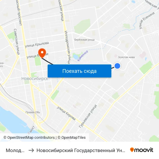Молодежная Ул. to Новосибирский Государственный Университет Экономики И Управления map