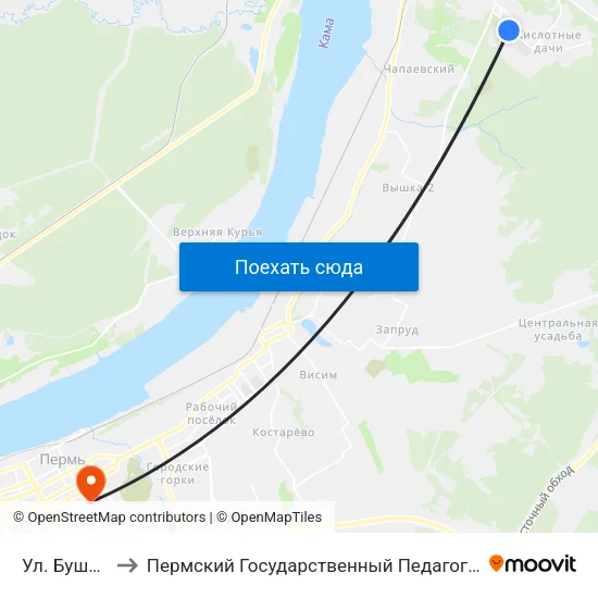Ул. Бушмакина to Пермский Государственный Педагогический Университет map