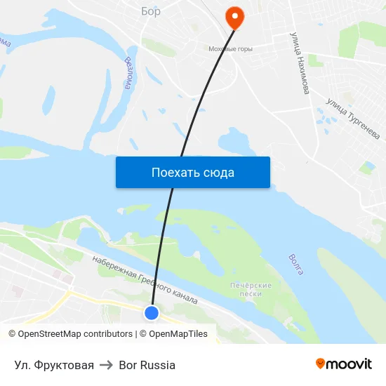 Ул. Фруктовая to Bor Russia map
