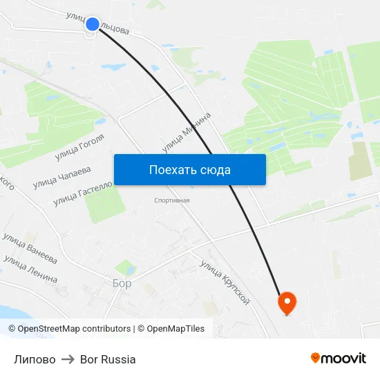 Липово to Bor Russia map