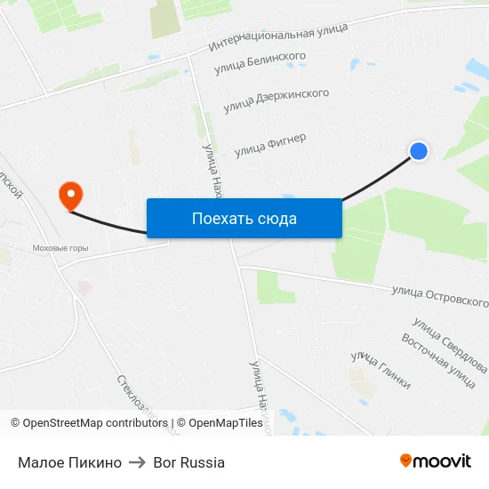 Малое Пикино to Bor Russia map