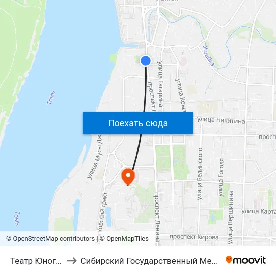 Театр Юного Зрителя to Сибирский Государственный Медицинский Университет map