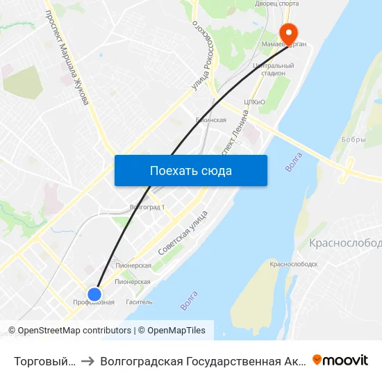 Торговый Центр (А) to Волгоградская Государственная Академия Физической Культуры map