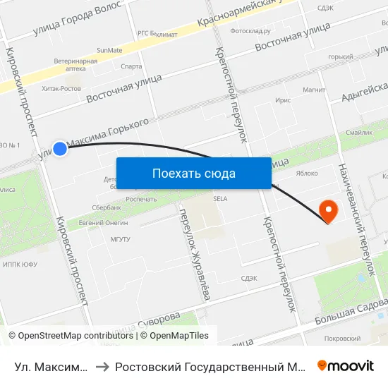 Ул. Максима Горького to Ростовский Государственный Медицинский Университет map