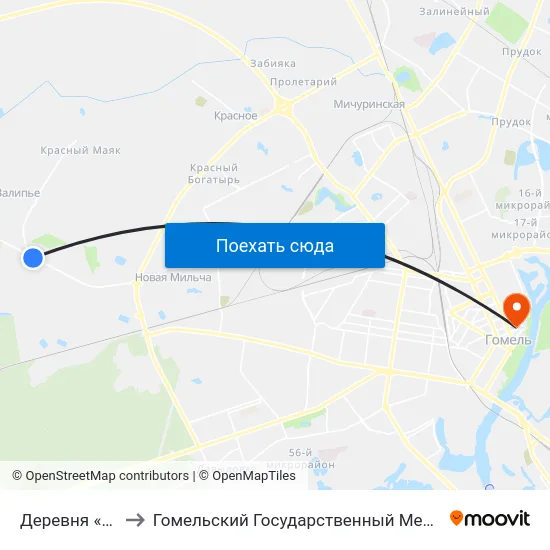Деревня «Залипье» to Гомельский Государственный Медицинский Университет map