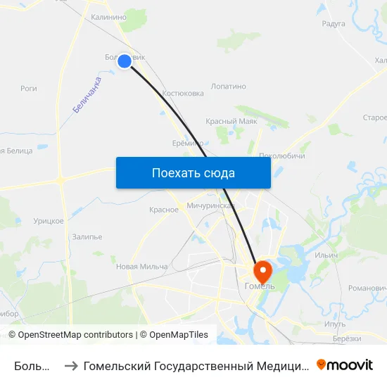 Большевик to Гомельский Государственный Медицинский Университет map