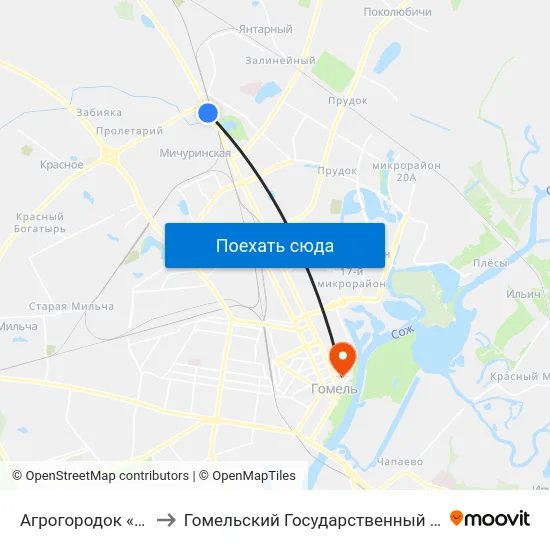 Агрогородок «Мичуринский» to Гомельский Государственный Медицинский Университет map