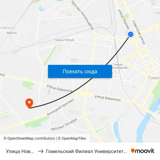 Улица Новополесская to Гомельский Филиал Университета Гражданской Защиты Мчс map