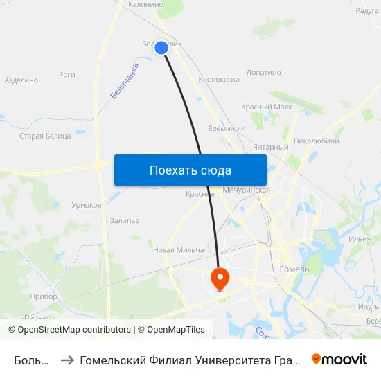 Большевик to Гомельский Филиал Университета Гражданской Защиты Мчс map