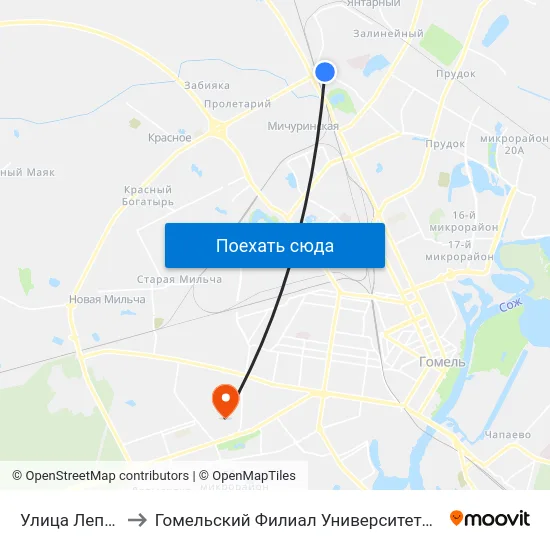 Улица Лепешинского to Гомельский Филиал Университета Гражданской Защиты Мчс map