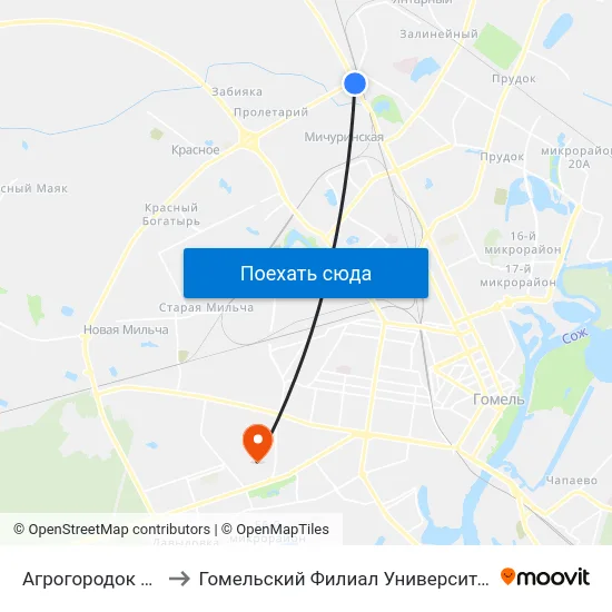 Агрогородок «Мичуринский» to Гомельский Филиал Университета Гражданской Защиты Мчс map