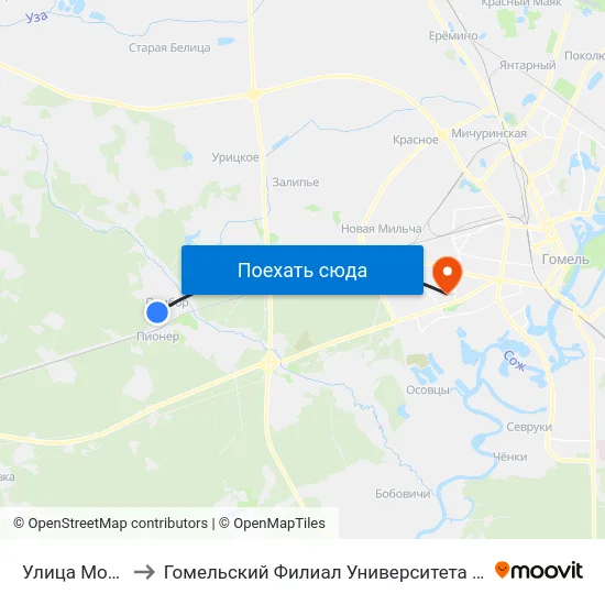 Улица Молодёжная to Гомельский Филиал Университета Гражданской Защиты Мчс map