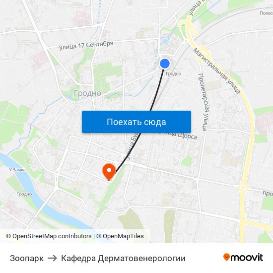 Зоопарк to Кафедра Дерматовенерологии map