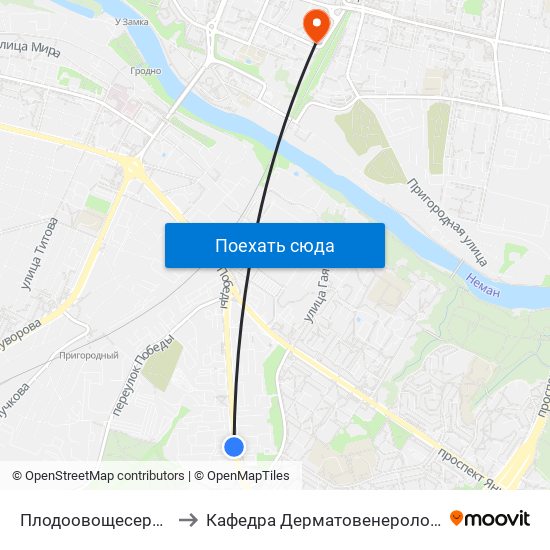 Плодоовощесервис to Кафедра Дерматовенерологии map