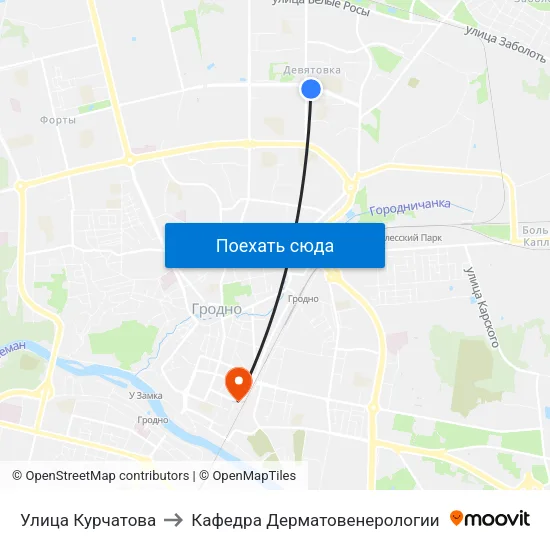 Улица Курчатова to Кафедра Дерматовенерологии map