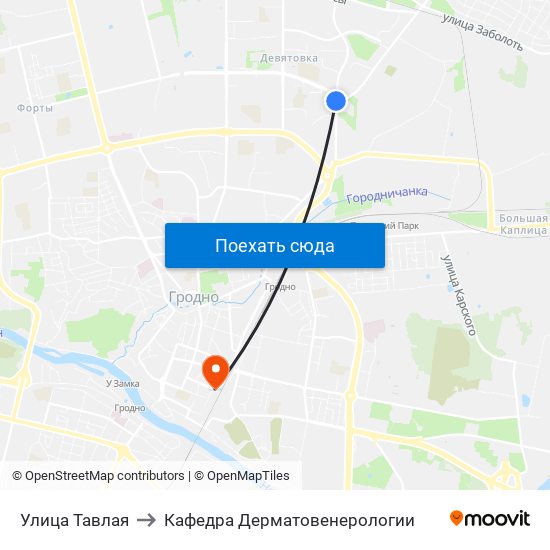 Улица Тавлая to Кафедра Дерматовенерологии map