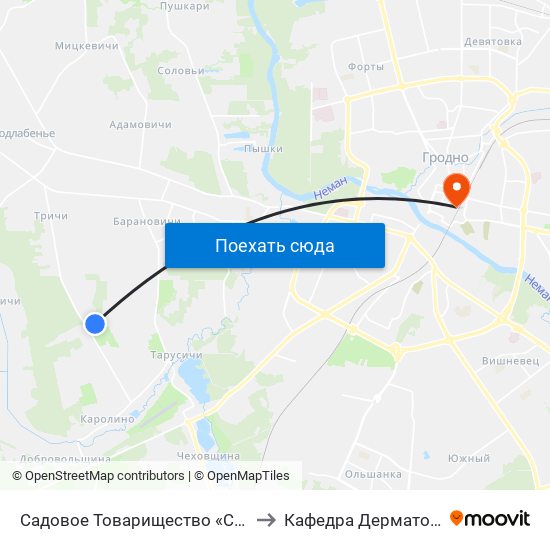 Садовое Товарищество «Спутник Королино» to Кафедра Дерматовенерологии map