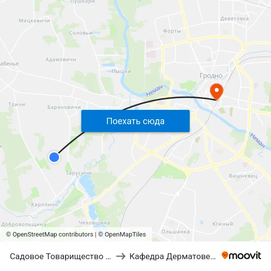 Садовое Товарищество «Доблесть» to Кафедра Дерматовенерологии map
