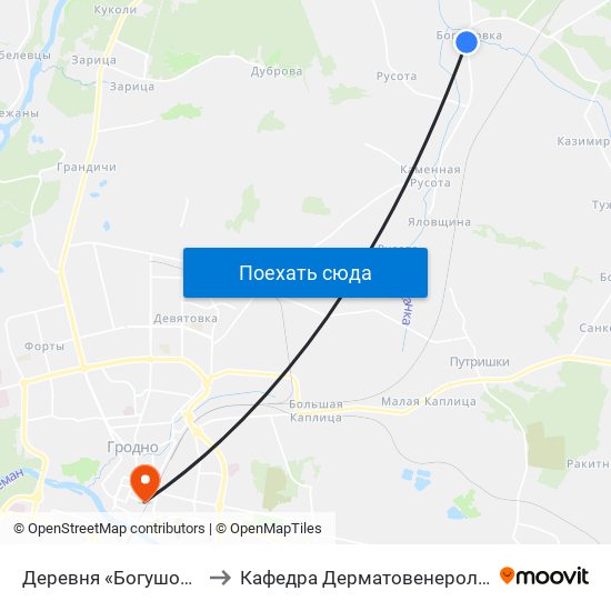 Деревня «Богушовка» to Кафедра Дерматовенерологии map