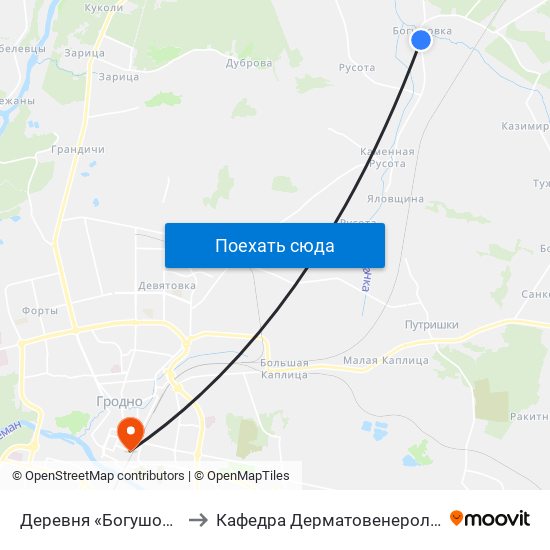 Деревня «Богушовка» to Кафедра Дерматовенерологии map