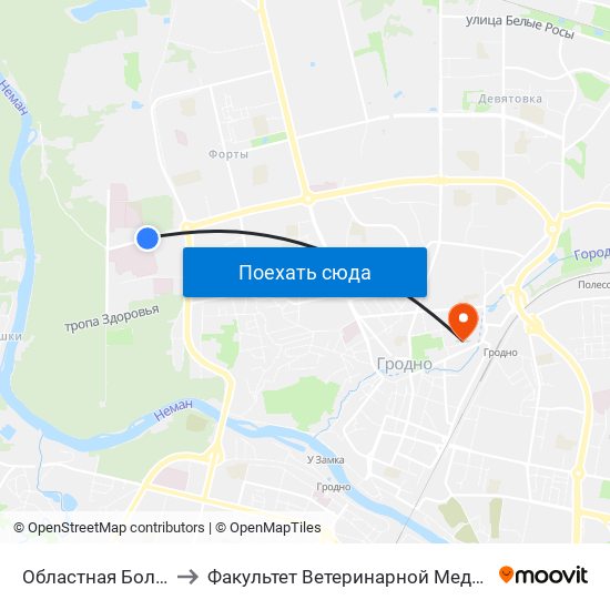 Областная Больница to Факультет Ветеринарной Медицины Ггау map