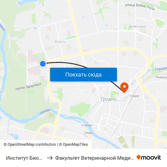 Институт Биохимии to Факультет Ветеринарной Медицины Ггау map