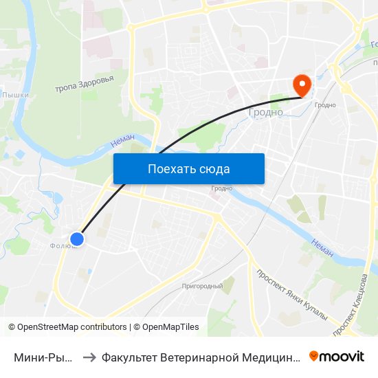 Мини-Рынок to Факультет Ветеринарной Медицины Ггау map