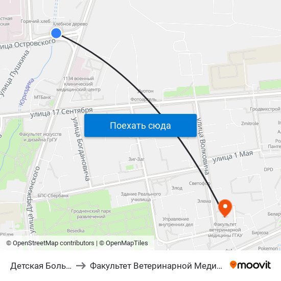 Детская Больница to Факультет Ветеринарной Медицины Ггау map