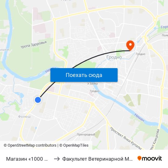 Магазин «1000 Мелочей» to Факультет Ветеринарной Медицины Ггау map