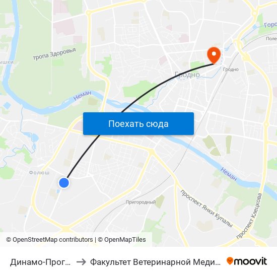 Динамо-Программ to Факультет Ветеринарной Медицины Ггау map