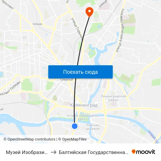 Музей Изобразительных Искусств (Из Центра) to Балтийская Государственная Академия Рыбопромыслового Флота. Корпус 3 map