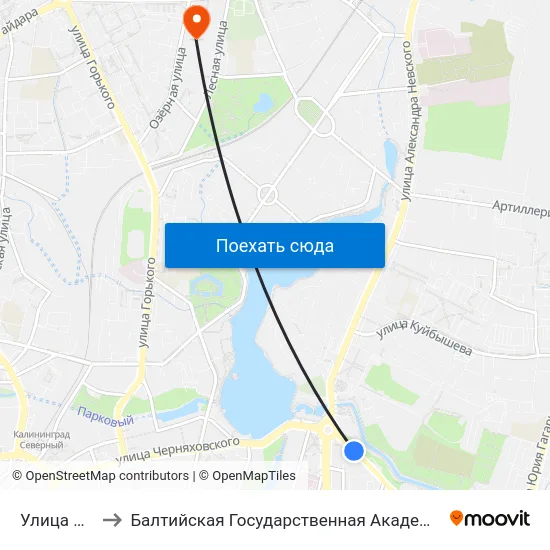 Улица Пионерская to Балтийская Государственная Академия Рыбопромыслового Флота. Корпус 3 map