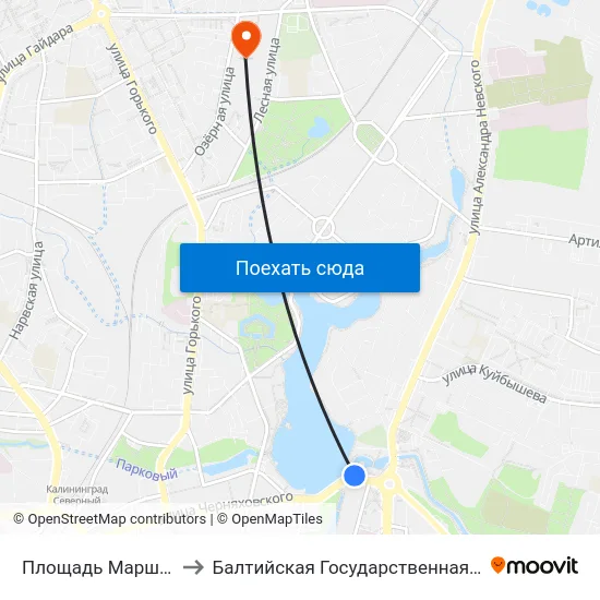 Площадь Маршала Василевского (В Центр) to Балтийская Государственная Академия Рыбопромыслового Флота. Корпус 3 map